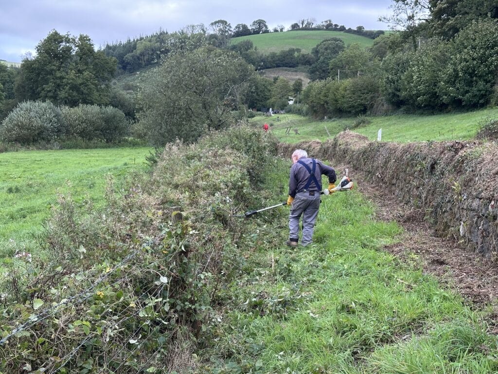 a volunteer using a hedge cutter